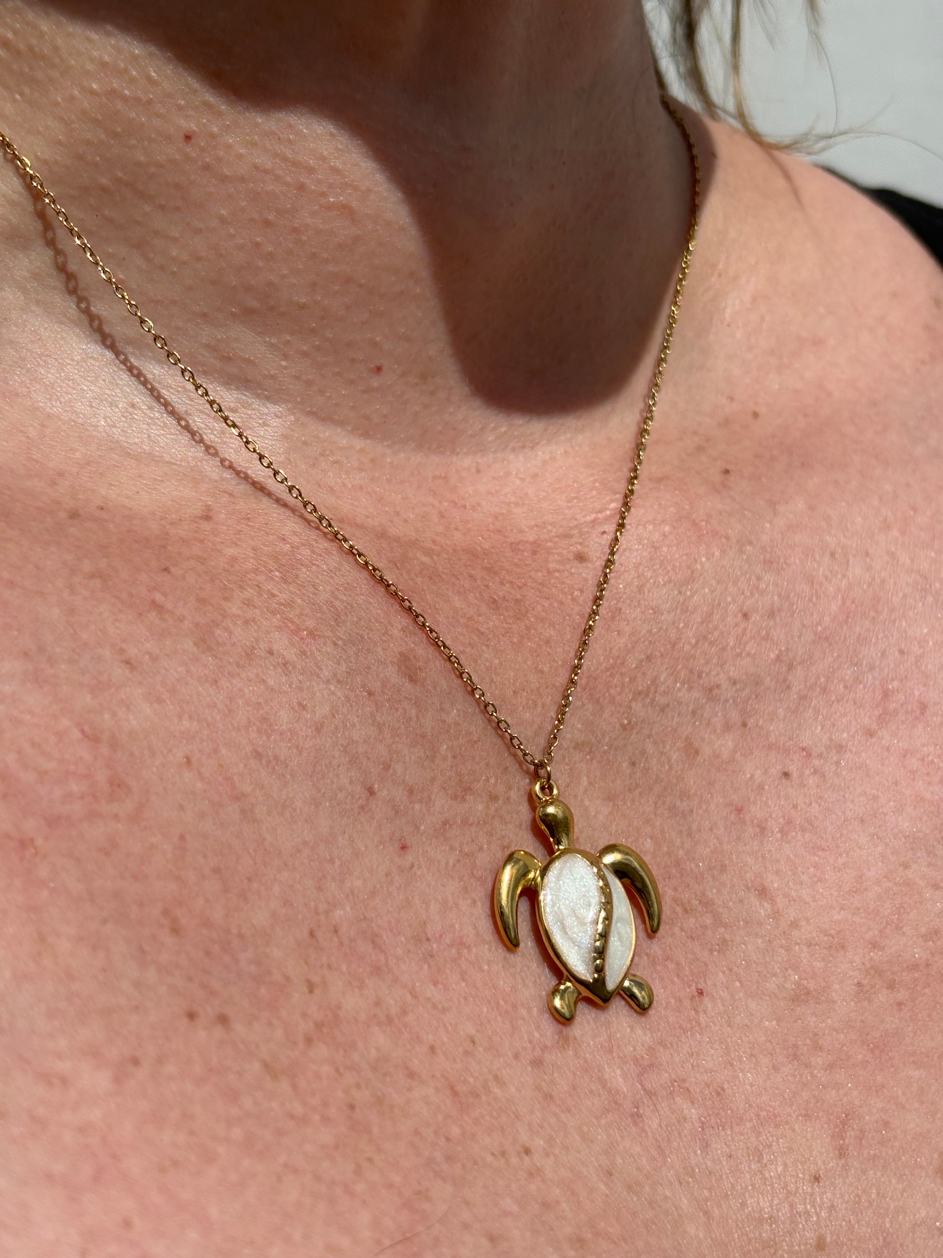 collar tortuga